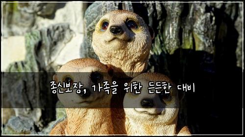 종신보장, 가족을 위한 든든한 대비