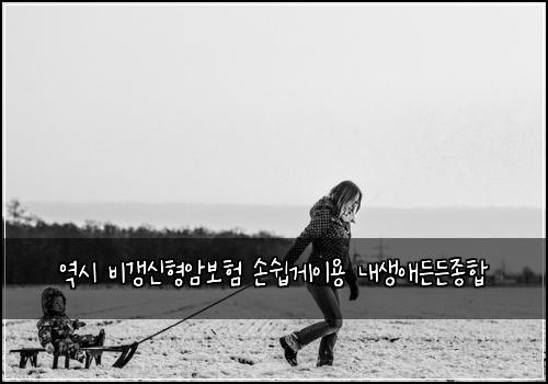 μμ λΉκ°±μ νμ보ν μμ½κ²μ΄μ© λ΄μμ λ λ μ’
ν©