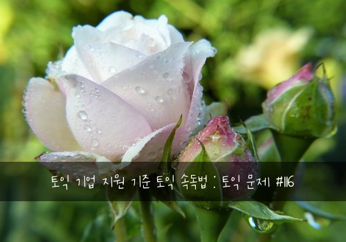 토익 기업 지원 기준 토익 속독법 : 토익 문제 #116