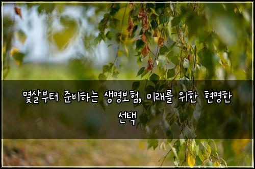  몇살부터 준비하는 생명보험, 미래를 위한 현명한 선택