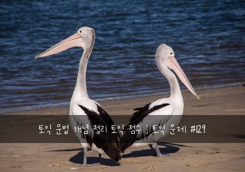 토익 문법 개념 정리 토익 점수 : 토익 문제 #129