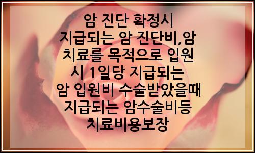 오늘의 이미지