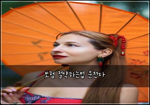 ๋ณดํ ์ ์ฝํ๋๋ฒ ์ด์ ์