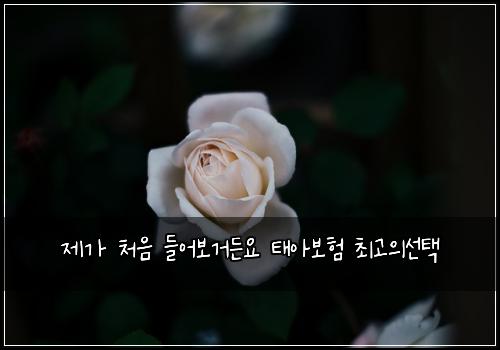 제가 처음 들어보거든요 태아보험 최고의선택 