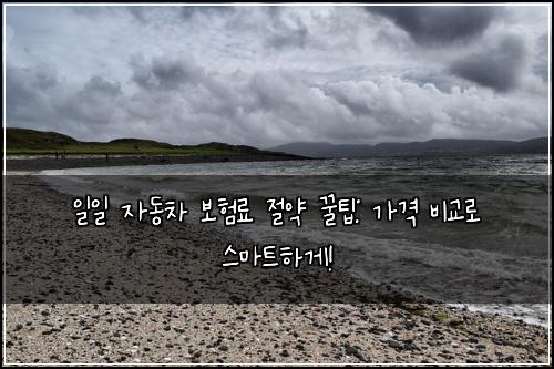 일일 자동차 보험료 절약 꿀팁: 가격 비교로 스마트하게!