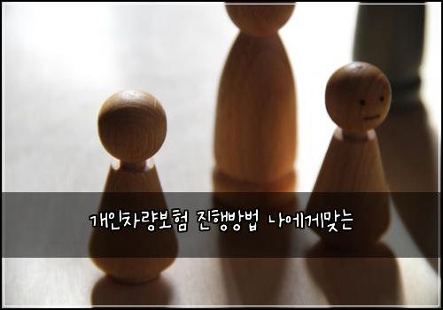 κ°μΈμ°¨λ보ν μ§νλ°©λ² λμκ²λ§λ