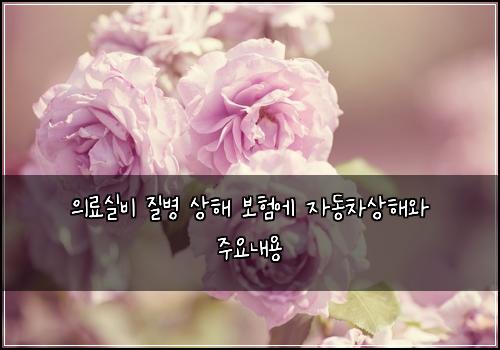 ์๋ฃ์ค๋น ์ง๋ณ ์ํด ๋ณดํ์ ์๋์ฐจ์ํด์ ์ฃผ์๋ด์ฉ
