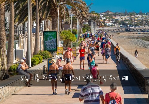 토익 기출 학습 토익 재응시 전략 : 토익 문제 #111