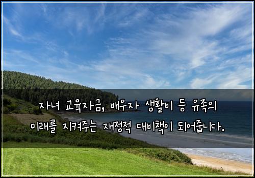 자녀 교육자금, 배우자 생활비 등 유족의 미래를 지켜주는 재정적 대비책이 되어줍니다.