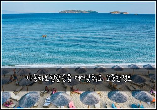 자동차보험할증율 더더낮춰요 소중한정보