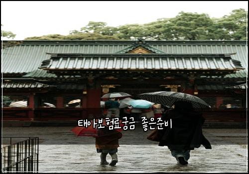 태아보험료궁금 좋은준비