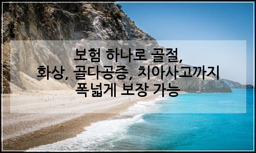 오늘의 이미지