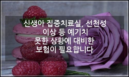 오늘의 이미지