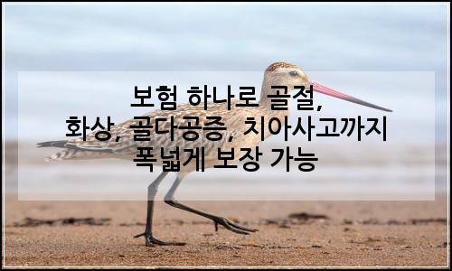 오늘의 이미지