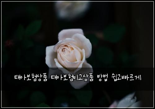 ํ์๋ณดํ์ํ ํ์๋ณดํ๋น๊ต์ํ ๋ฐฉ๋ฒ ์ฝ๊ณ ๋น ๋ฅด๊ฒ