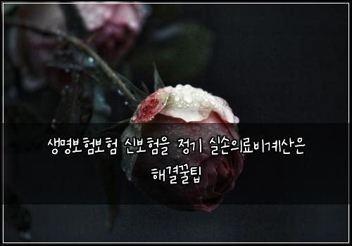 생명보험보험 신보험을 정기 실손의료비계산은 해결꿀팁