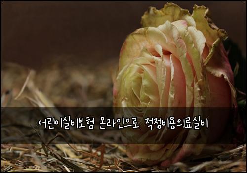 어린이실비보험 온라인으로  적정비용의료실비