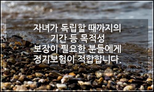 오늘의 이미지