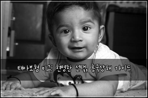 태아보험 비교: 현명한 선택, 흥국상해 가이드