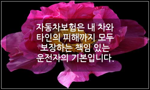 오늘의 이미지