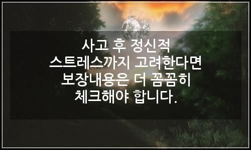 오늘의 이미지