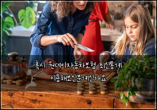 혹시 원데이자동차보험 최신통계  이용해보신분계신가요