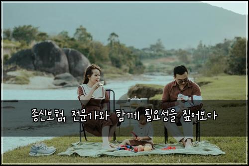  종신보험, 전문가와 함께 필요성을 짚어보다