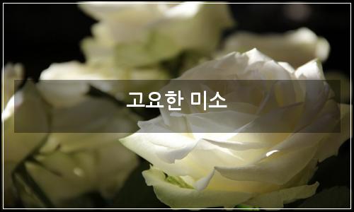 오늘의 이미지