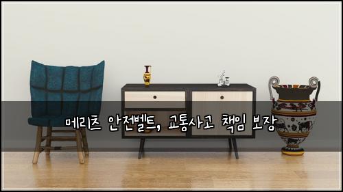 메리츠 안전벨트, 교통사고 책임 보장