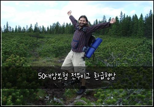 50대암보험 전부비교  환급형암