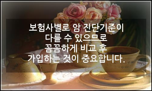 오늘의 이미지
