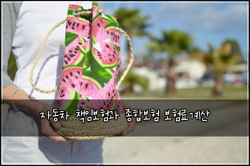 자동차 책임보험과 종합보험 보험료계산