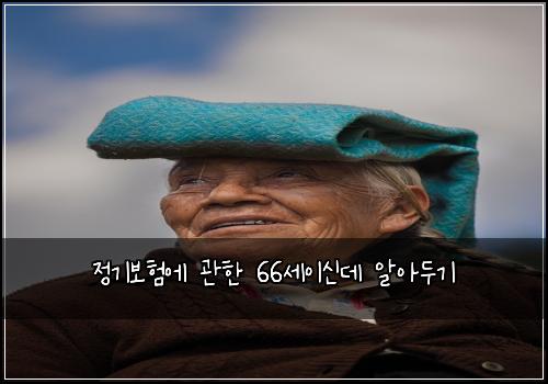 정기보험에 관한 66세이신데 알아두기