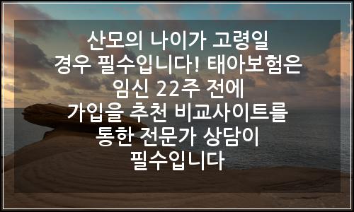 오늘의 이미지