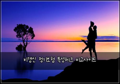 비갱신 정기보험 특성체크  비교사이트