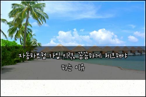 자동차보험 가입 이력, 꼼꼼하게 체크해야 하는 이유