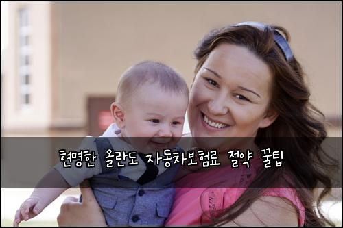  현명한 올란도 자동차보험료 절약 꿀팁