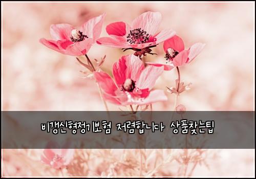 비갱신형정기보험 저렴합니다  상품찾는팁