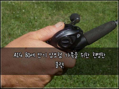 AIG 80세 만기 암보험: 가족을 위한 현명한 클릭!