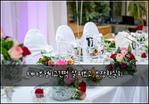 ํ์๋ณดํ๋น๊ต๊ฒฌ์ ์ดํด๋ณด๊ณ ๋ณด์ฅํ์คํ