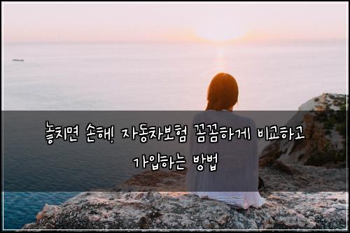  놓치면 손해! 자동차보험 꼼꼼하게 비교하고 가입하는 방법