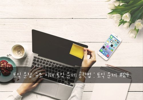 토익 문장 구조 이해 토익 문제 공략법 : 토익 문제 #124