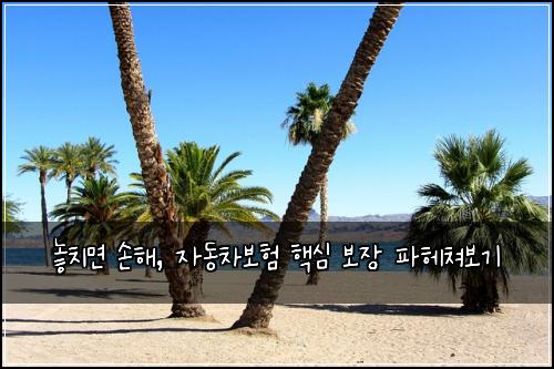  놓치면 손해, 자동차보험 핵심 보장 파헤쳐보기