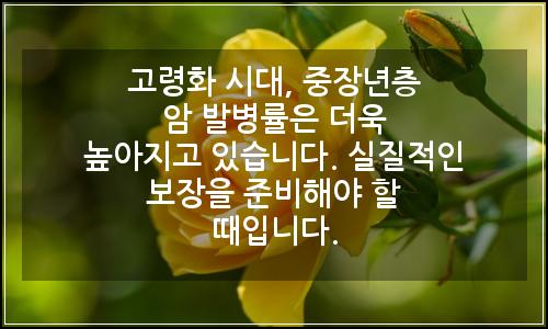 오늘의 이미지