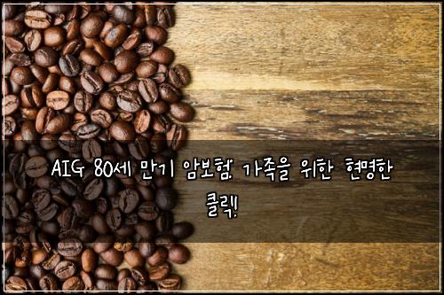 AIG 80세 만기 암보험: 가족을 위한 현명한 클릭!