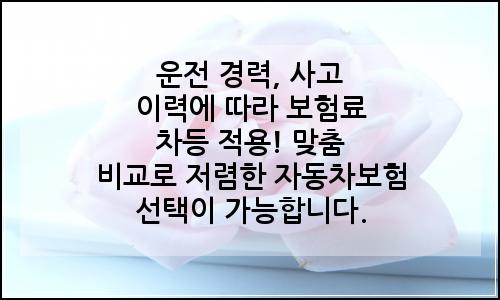 오늘의 이미지