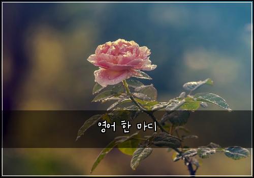 ์์ด ํ ๋ง๋