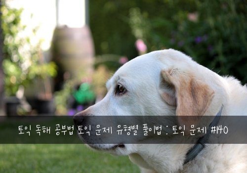 토익 독해 공부법 토익 문제 유형별 풀이법 : 토익 문제 #140