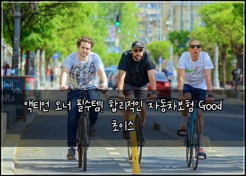 액티언 오너 필수템! 합리적인 자동차보험 Good 초이스