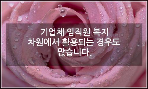 오늘의 이미지